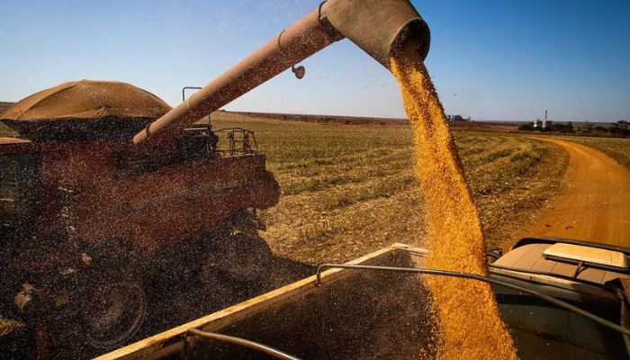 Brasil colherá 297,5 milhões de toneladas de grãos, estima a Conab